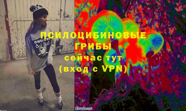 экстази Богородск