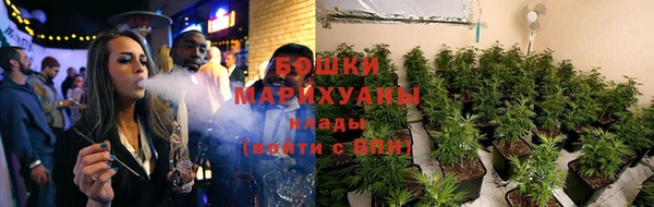 ПСИЛОЦИБИНОВЫЕ ГРИБЫ Краснослободск