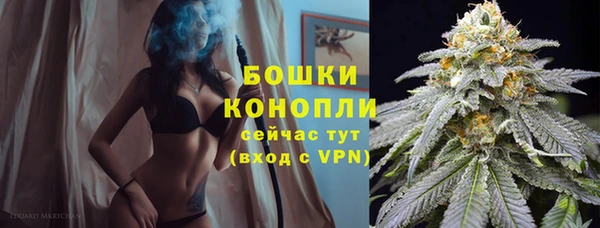 метадон Коряжма