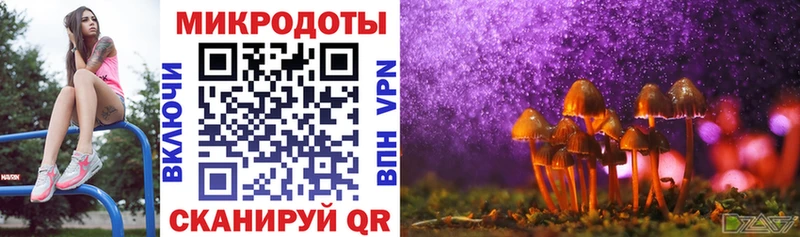 Псилоцибиновые грибы MAGIC MUSHROOMS  Мариинский Посад 